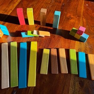 24 pieces of tegu magnetic wooden blocks